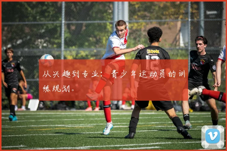 从兴趣到专业：青少年运动员的训练规划。