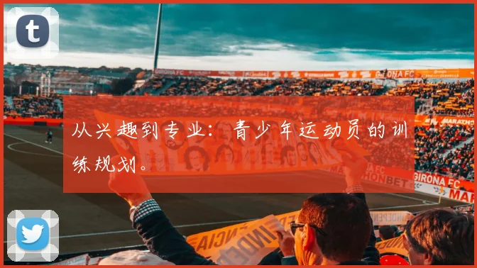 从兴趣到专业：青少年运动员的训练规划。