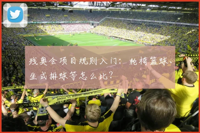 残奥会项目规则入门：轮椅篮球、坐式排球等怎么比？